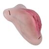 Silicone Penis Chastity Cage for Men Cock Lock CB Cage
