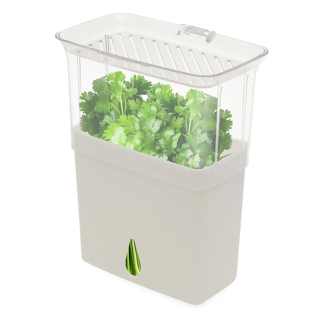 Clear Herb Saver Storage Container Airtight Fresh Herb Keeper for Refrigerator Vegetable Vanilla Bean Storage Box Herb Preserver