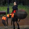 Spider Inflatable Suit, Adult
