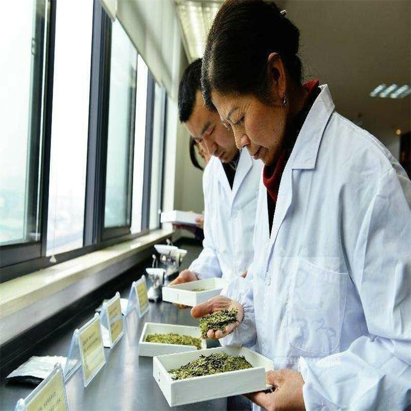 250 g berühmter Dragon Well China Spring Longjing Grüntee von guter Qualität für die Gesundheit