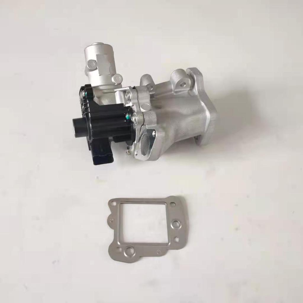 Exhaust Gas Recirculation (EGR) Valve for Citroen, Fiat, Ford, and Peugeot