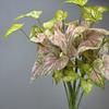 Tropical Plant Simulation Taro Leaf Plant Artificial Green Plant Leaves  Wedding Party Decor