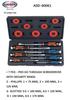 US LICOTA Multi-Functional Phillips/Slotted Screwdriver for Prying & Hammering