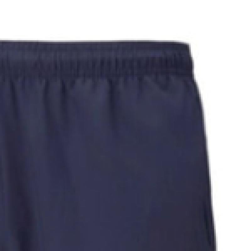 Puma Galleria Puma Team Rise Sideline Asian Fit Gym Wear Woven Pants