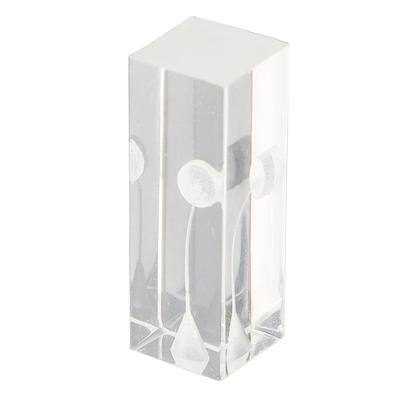 Root Canal Exercise Block Acrylic Transparent Clear Display Curved Oral Endodontic Root Model