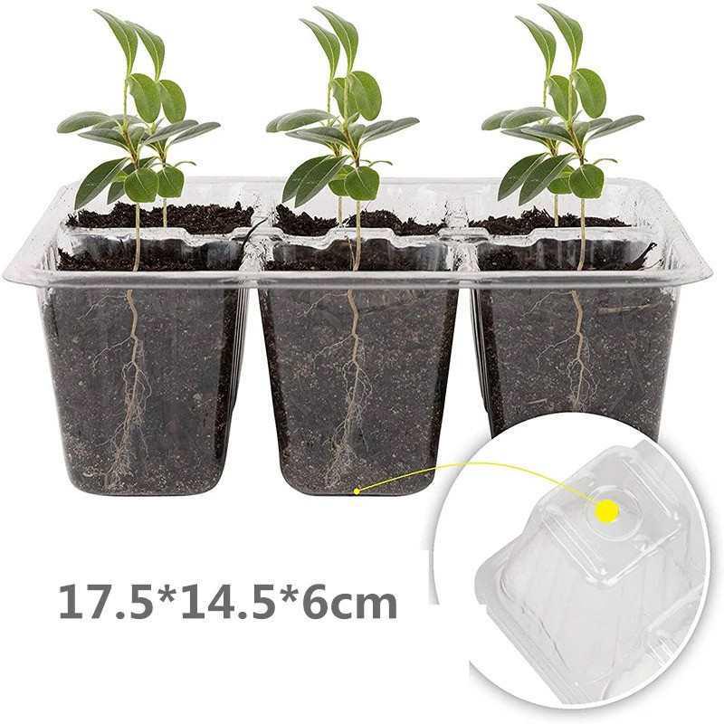 Thickened Seedling Tray with Transparent Lid & Rotating Switch - 6/12 Holes for Heat & Moisture Retention