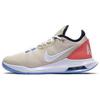 Air Max Wildcard HC Low Top Tennis Shoes Women's Blue Brown AO7353-102