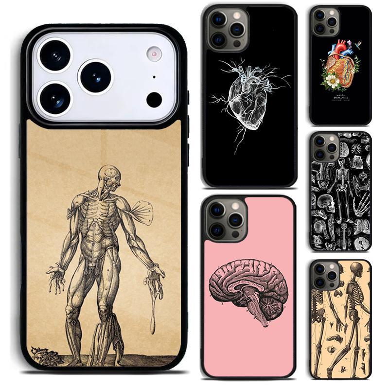 Medical Human Anatomy Phone Case for iPhone 17 16 15 Pro Max Air 14 13 12 11 Plus Shockproof Capa Cover