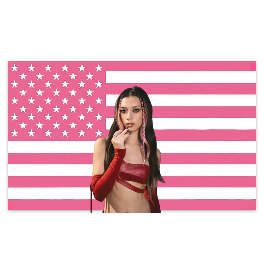MEGAN Katseye Pink American Flag Wall Decor Tapestry Room Home Decor Art Home Decor Wall Cloth Background