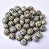Large Natural Spotted Crystal Stones for Aquariums and Buddha Decor