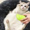 Pet Grooming Brush Electric Spray Water Spray Kitten Pet Comb Soft Silicone Depilation Cats Bath Hair Brush Grooming Supplies