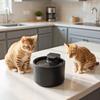2.3L Automatic Pet Water Fountain USB Powered Ultra Silent Circulating Cat Dog Drinking Dispenser
