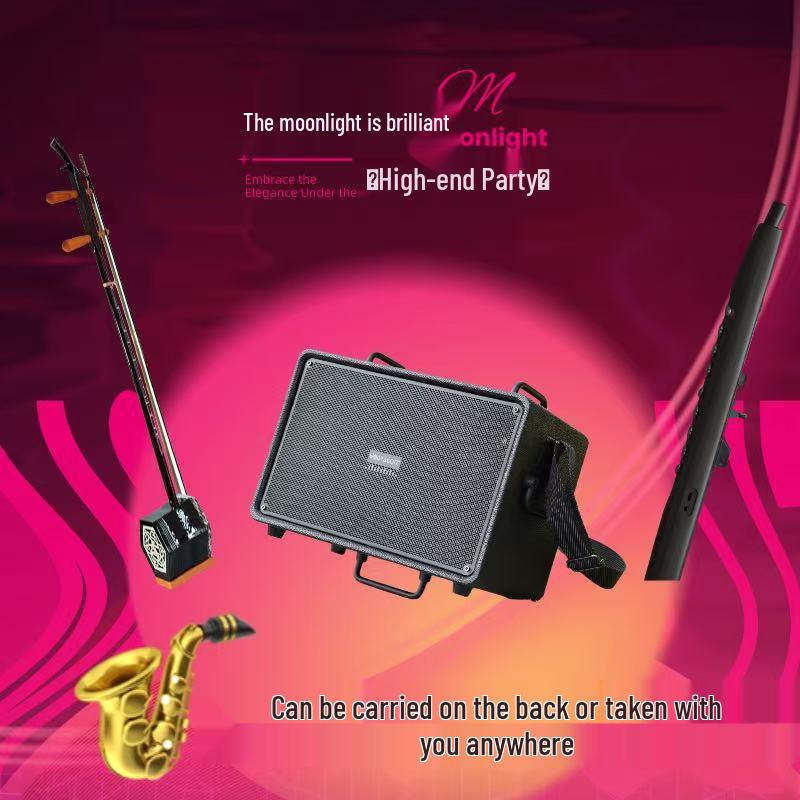 

Wolong KTV2 Yunmeng Series 120W Blue Outdoor Electric Saxophone-Erhu Blowing Tube чорний