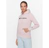 Champion Hooded Sweatshirt