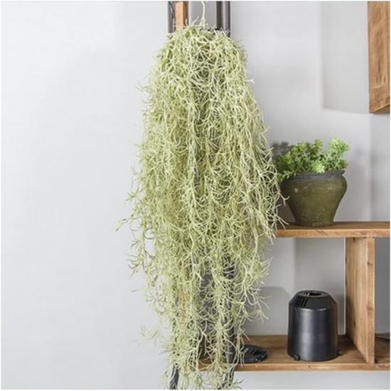 Artificial Spanish Moss Faux Hanging Greenery Moss 31.5 Fake Air Plant Looks Real for Home Outdoor Decoration Pack of 1 Green