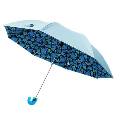Accessoires – Paraplu's