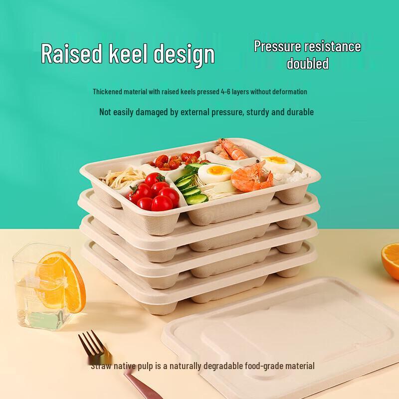 Eco-Friendly Disposable Food Containers