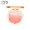 Xixi Cat Fun Gradient Blush & Contour Palette: Natural Nude Highlight & Shade All-in-One