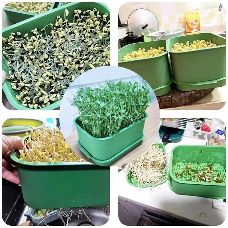 Plastväxthuskrukor Grönsaks Jordlösa Odlingstråg Frögroddstråg Plantplatta Trädgårdstillbehör