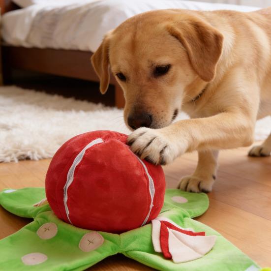 Edukacyjna interaktywna zabawka dla psa Arbuzowa pluszowa zabawka-ukryj i szukaj z piszczałką i dźwiękami szeleszczenia Małe i średnie psy Trening IQ Zabawka do gryzienia