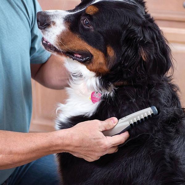 Premium Quality Electric Pet Grooming Flea Comb For Effortless Grooming Of Dogs And Cats