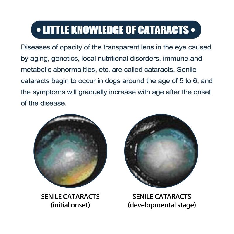 Yegbong Pet Eye Drops for Cats and Dogs, Tear Stain Remover, Relieves Eye Itching, Gentle Cleansing Eye Drops, 10ml