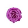 P-1  21 Preserved Roses in a Box Wedding Decor Floral Arrangements Wedding Dried Flower Home Decor Baby Shower Flowers 2~3cm
