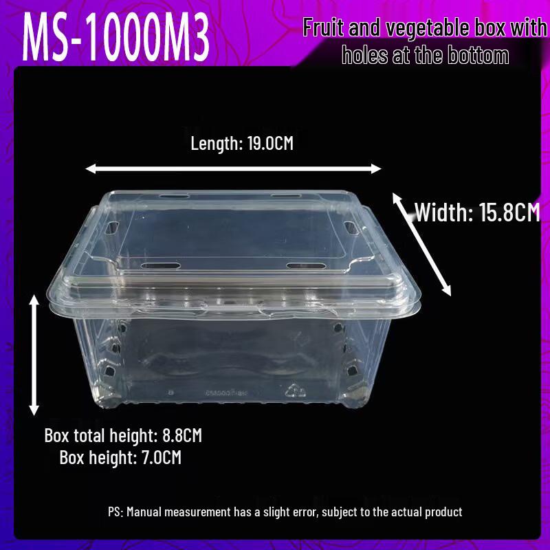Lantuan Disposable Transparent Fruit & Vegetable Containers