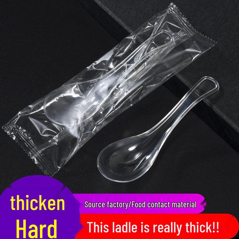 ZISIZ Individually Wrapped Disposable Plastic Spoons