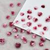 50PCS Vintage Two-tone Camellia Accessories 3D Resin Resin Nail Drill Accessories  Manicurist