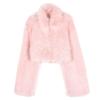 Imitation Fur Coat Women's New Autumn and Winter Short Warm Small Pink Fluffy Coat Top High Waist
