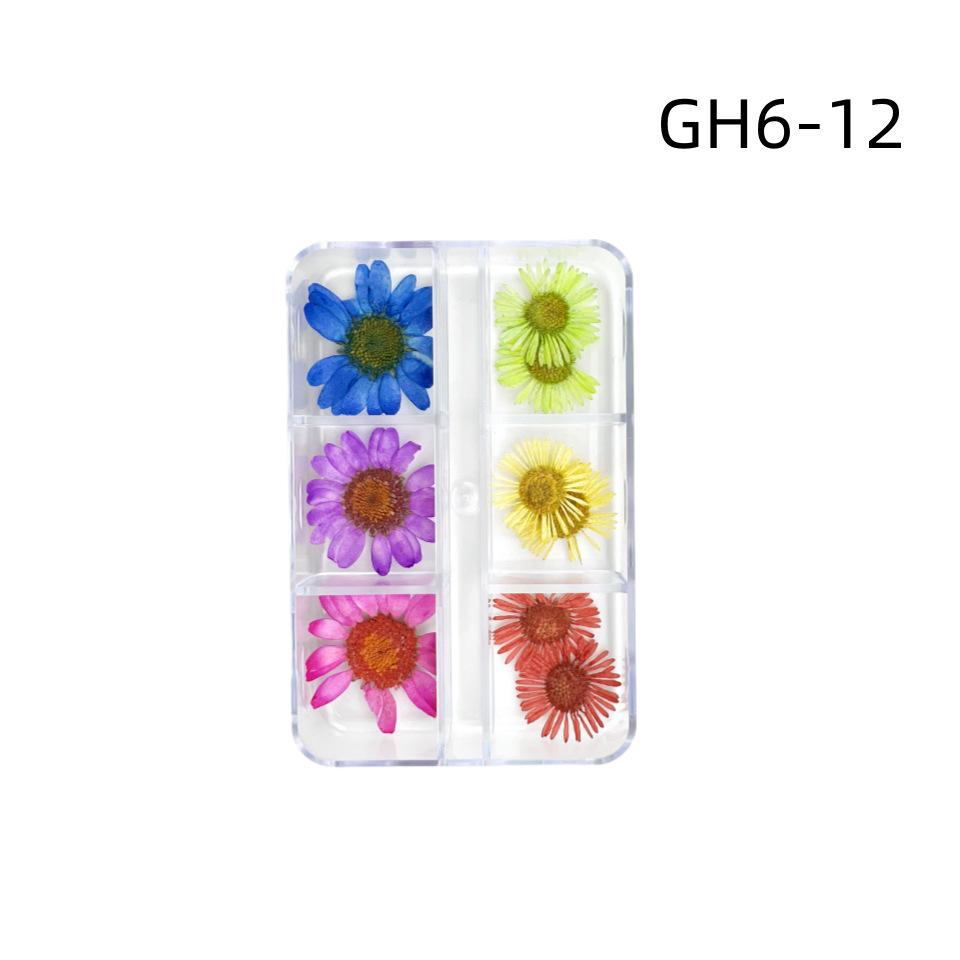6-Grid Natural Dried Flowers for Nail Art - Japanese Style Sunflower & Baby's Breath DIY Decorations