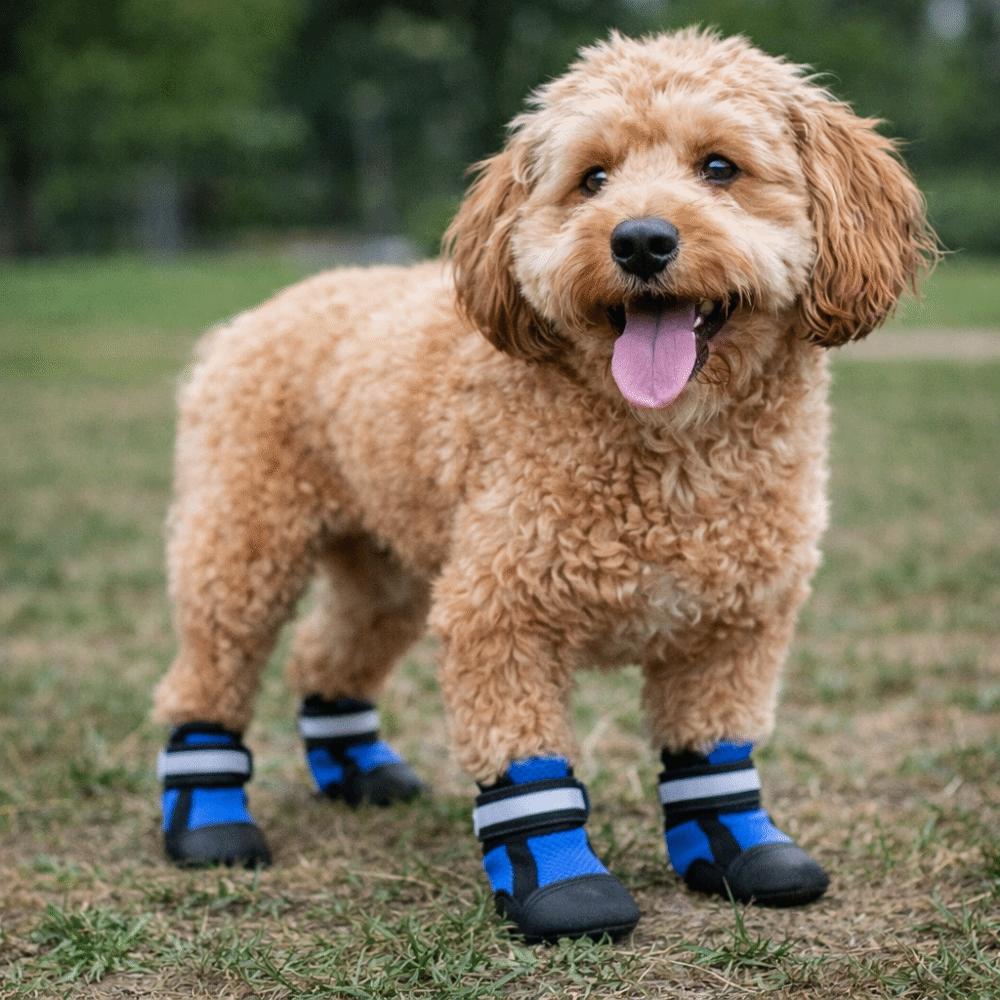 4 pcs/set Anti-slip Pet Shoe Cover Soft Sole Dog Walking Boots Puppy Feet Cover Running Activities
