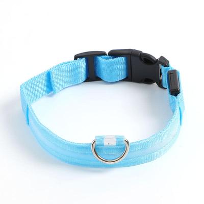 Köpek – Köpek Tasmaları ve Tasma Kayışları