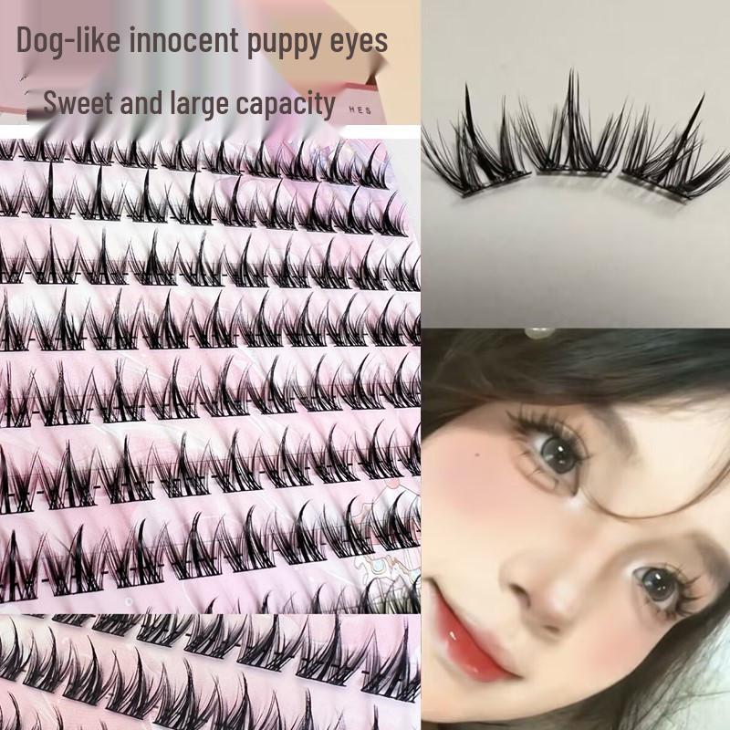 

Puppy Eyes 3D False Eyelashes: Easy Self-Apply Individual Clusters for Round Dog-Like Eyes.