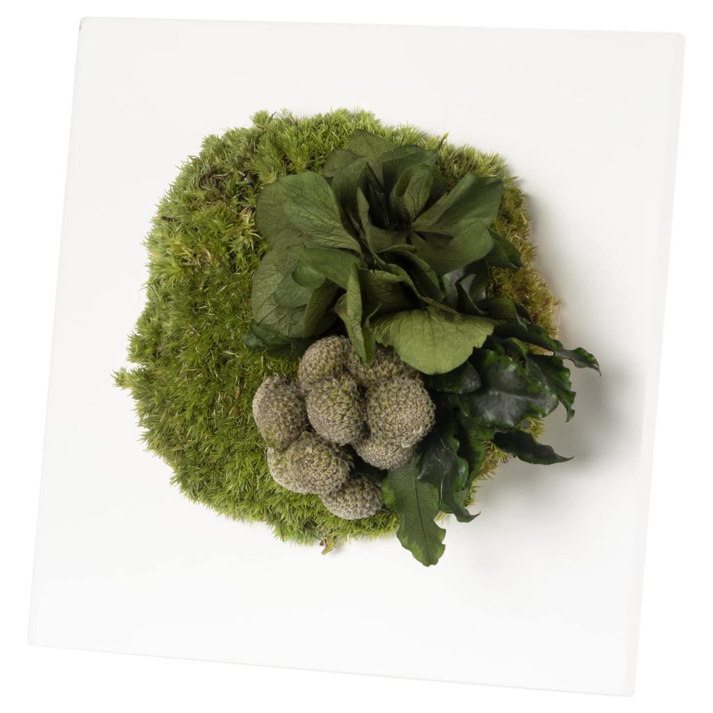 Garden Palette Mono White Frame, Interior Greenery, Preserved Flowers, Tabletop or Wall Hanging, Gift, No Maintenance Required