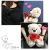 Day Bouquet Bear Plush Toy with Artificial W230 X H250 X Lulu's Valentine's Full-Lille Flowers, Size D200mm, Rainbow, Lulu's-0532