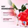 [korean Mask Set] ROUND LAB | Camellia Deep Collagen Firming Gel Mask 34g (4 Sheets) | Elasticity Boosting Mask