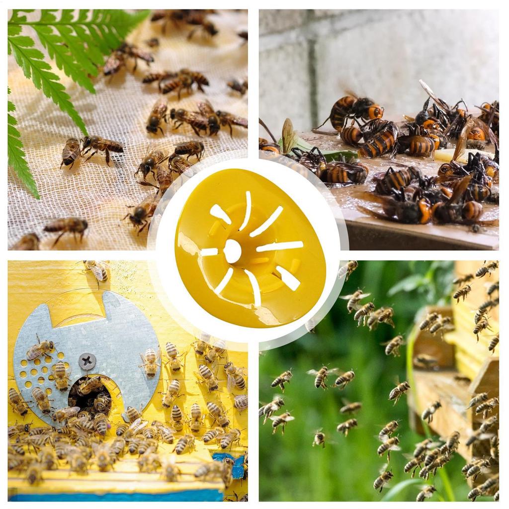 10 Stück Wespenfalle Fruchtfliegenfalle PP Wiederverwendbarer Trichter Bienen Hornissenfänger Schädlingsbekämpfung Insektenfallen Außen Garten Landwirtschaftsbedarf