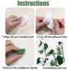 10/20PCS Invisible Plant Climbing Wall Fixture Clips Acrylic Sticker Self-Adhesive Hook Plant Vine Traction Holder Indoor Outdoor