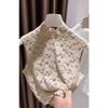 Brushed Lace Sleeveless Vest Women's Spring and Autumn Fake Collar New Inner Layering Shirt
