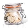 Patent Glass Kitchen Container Jar with Food Clip 500 ml