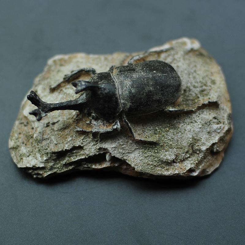 1 Stück Kinderspielzeug Simuliertes Harz Fossil Ornament Kriechendes Terrarium Dekorationen Dekorativer Behälter Landschaft Reptil