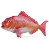 Children's Cognitive Marine Animal Model: Red Seabream & Garfish Toy Ornament