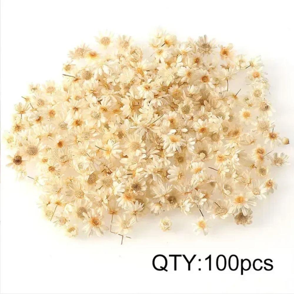 

Dried Flowers Set for DIY Crafts Epoxy Resin Jewelry Making Candle Decoration Glass Art Pressed Natural Flowers Kit Wedding