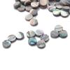 Fingerboard for Ukulele Acoustic Punctuation Point Abalone Inlay Dots Pearl Shell Dots Abalone Dots
