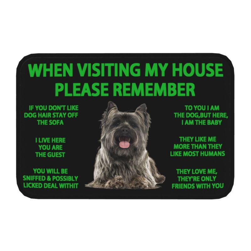 Lovely Pug Dog Front Door Floor Entrance Mats Outdoor Bathroom Kitchen Doormat Garden Carpet Rug