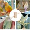 Bird Cage Toys Multifunctional Wooden Seesaw For Birds Versatile Cage Accessories For Parrots Parakeet Budgies Cockatoos