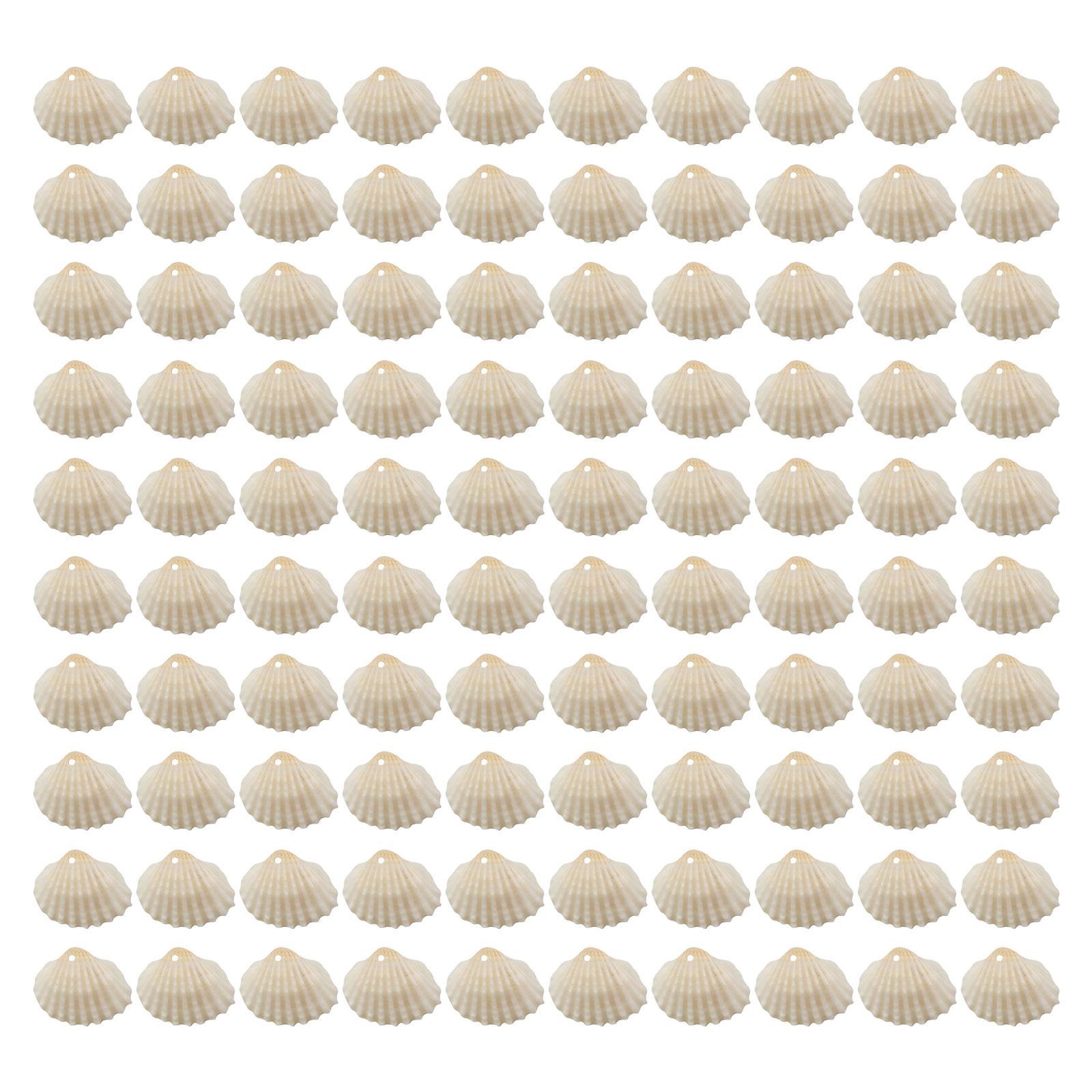 

Set of 100 Assorted Natural Seashells for Handmade Bracelets and Necklaces Jewelry Components Sea Shell Accessories 2