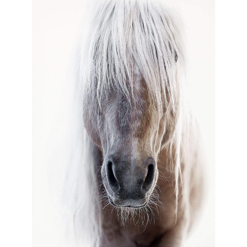 Černobílý portrét koně Plakátový tisk Plátno Malba Běžící koně Zvířecí nástěnné umění Obrázek pro pokoj na statku Domácí dekorace